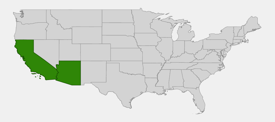 Native range map of indigo bush (Psorothamnus schottii) highlighting California and Arizona