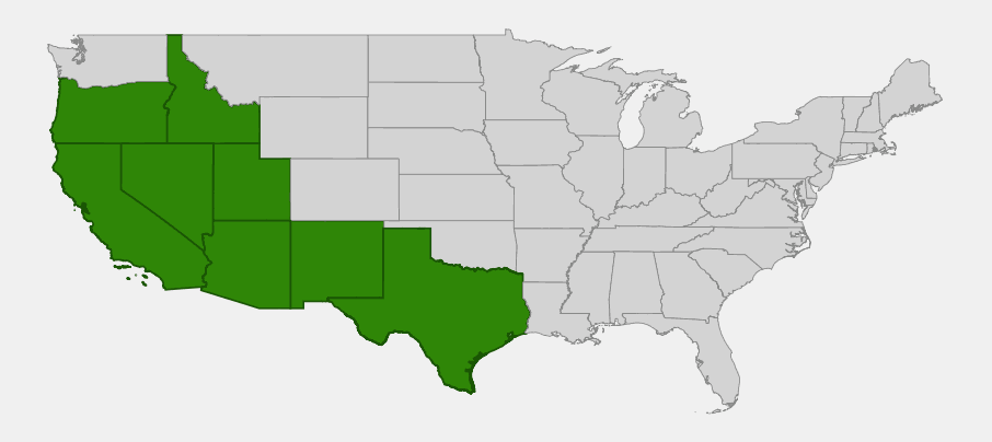 Native range map of Iodine Bush (Allenrolfea occidentalis) showing distribution across California, Nevada, Utah, Arizona, New Mexico, Texas, Oregon, and Idaho