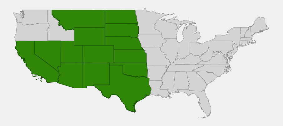 Native range map of Lacy Tansyaster (Machaeranthera pinnatifida) showing distribution across the western and south-central United States