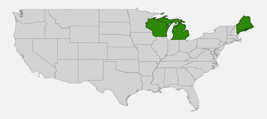 Native range map of Lake Huron Tansy (Tanacetum bipinnatum) showing distribution in Michigan, Wisconsin, and Maine