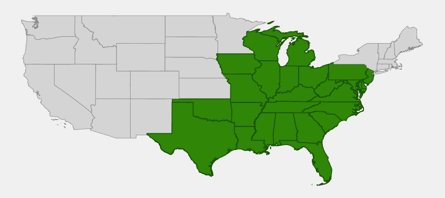Native range map of Lanceleaf Loosestrife (Lysimachia lanceolata) across the eastern and south-central United States