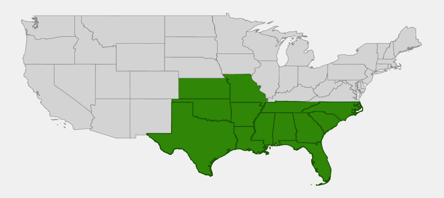 Native range map of Large-flowered Coreopsis (Coreopsis grandiflora) highlighting the south-central and southeastern United States