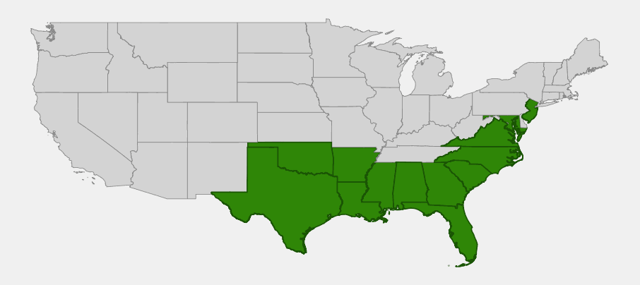 Native range map of laurel greenbrier (Smilax laurifolia) showing distribution across the southeastern coastal plain from New Jersey to Florida and west to eastern Texas and Oklahoma