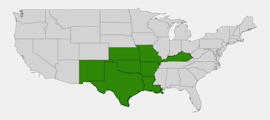 Native range map of Lemon Beebalm (Monarda citriodora) showing distribution across Kansas, Missouri, Oklahoma, Arkansas, Louisiana, Texas, New Mexico, and Kentucky
