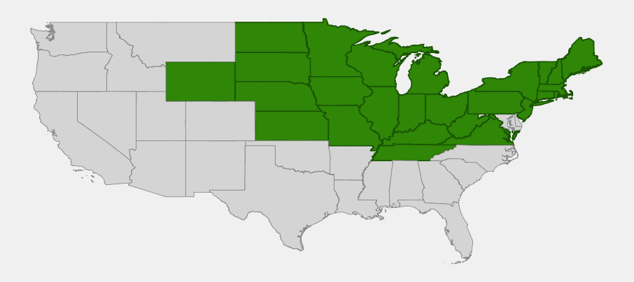 Native range map of limber honeysuckle (Lonicera dioica) across the northern and central United States