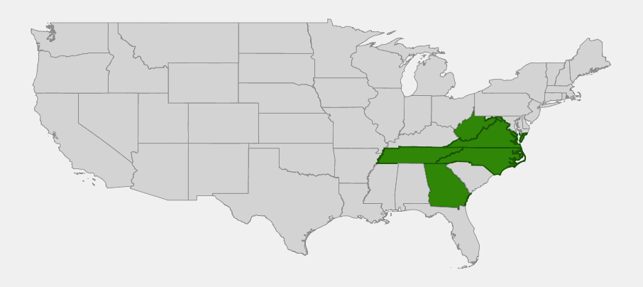 Native range map of Longstalk Holly (Ilex collina) highlighting Virginia, West Virginia, North Carolina, Tennessee and Georgia