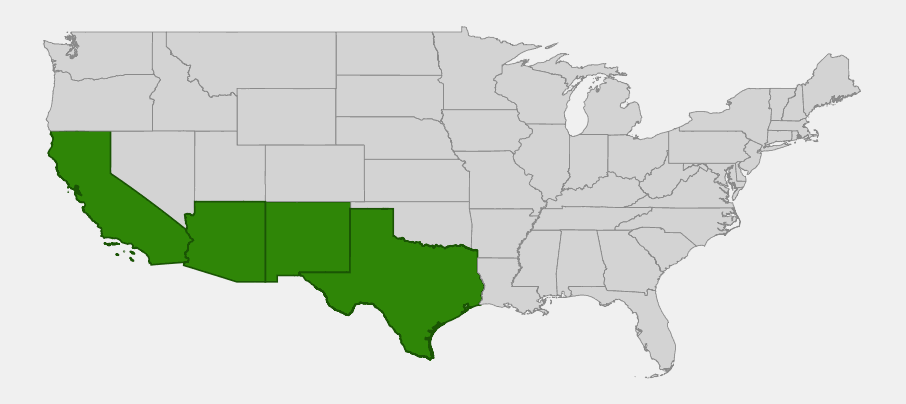 Native range map of Lotebush (Ziziphus obtusifolia) showing distribution across California, Arizona, New Mexico and Texas