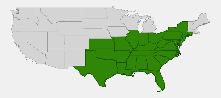 Native range map of Lyreleaf sage (Salvia lyrata) across the eastern and central United States
