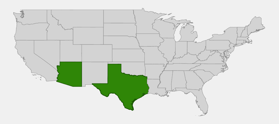 Native range map of Mexican palo verde (Parkinsonia aculeata) showing only southern Texas and Arizona