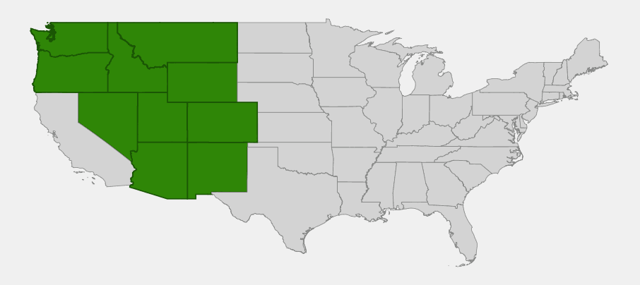 Native range map of Mountain Bluebells (Mertensia ciliata) showing distribution across the Rocky Mountains and intermountain West