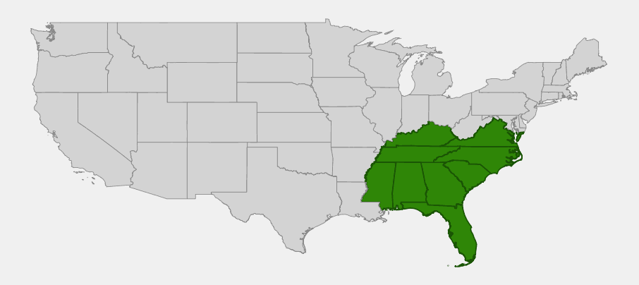Native range map of Mountain Camellia (Stewartia ovata) highlighting Virginia, North Carolina, South Carolina, Georgia, Alabama, Tennessee, Kentucky, Mississippi, and Florida