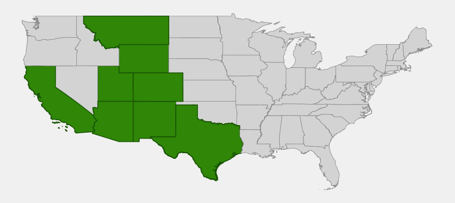 Native range map of mountain muhly (Muhlenbergia montana) showing distribution across the Rocky Mountains, Southwest, and California