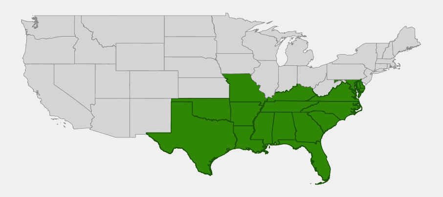 Native range map of Muscadine (Vitis rotundifolia) showing distribution across the southeastern United States