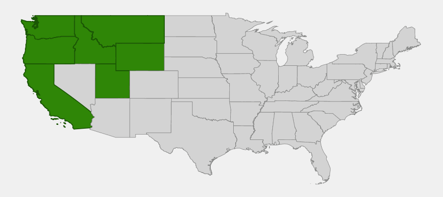 Native range map of Muskflower (Mimulus moschatus) showing distribution across Washington, Oregon, California, Idaho, Montana, Wyoming and Utah