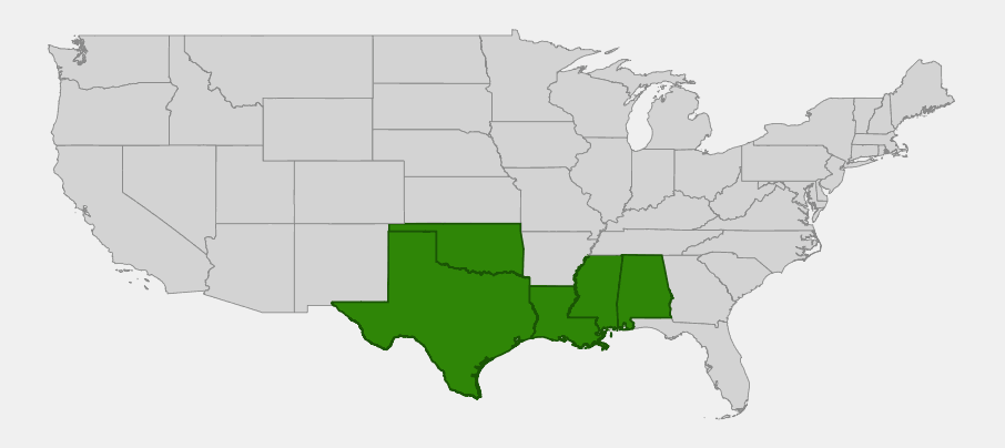 Native range map of Mustang Grape (Vitis mustangensis) showing distribution across Texas, Oklahoma, Louisiana, Mississippi and Alabama