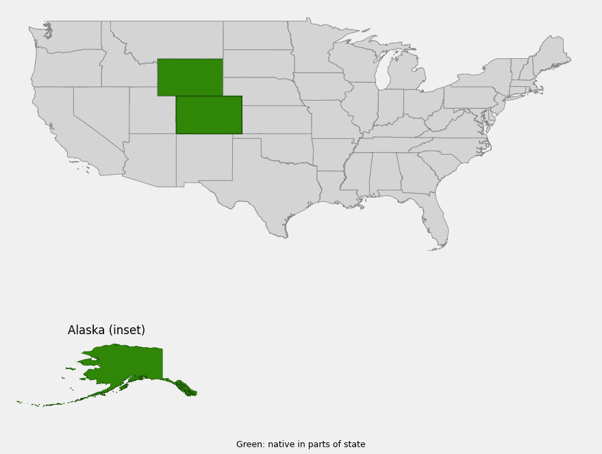 Native range map of narcissus anemone (Anemone narcissiflora) showing Alaska and a disjunct alpine population in Colorado and Wyoming