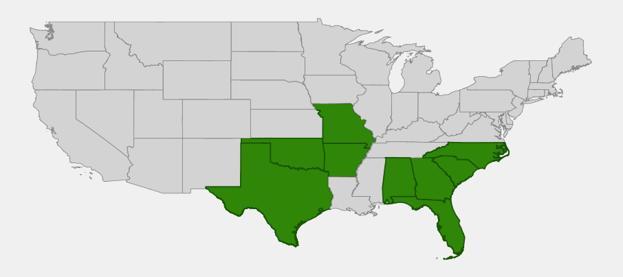 Native range map of narrowleaf bluestar (Amsonia ciliata) showing a south-central Texas and Oklahoma population and a separate southeastern coastal plain population