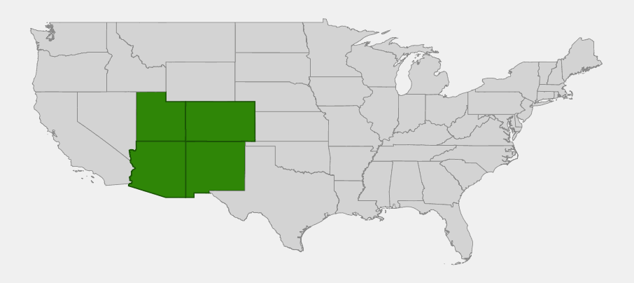 Native range map of narrowleaf yucca (Yucca angustissima) showing distribution across Arizona, Utah, Colorado, and New Mexico