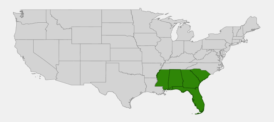 Native range map of Needle Palm (Rhapidophyllum hystrix) highlighting Florida, Georgia, Alabama, Mississippi and South Carolina