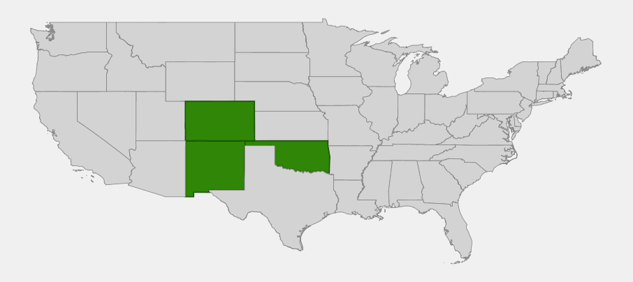 Native range map of New Mexico yucca (Yucca harrimaniae var. neomexicana) highlighting Colorado, New Mexico and Oklahoma