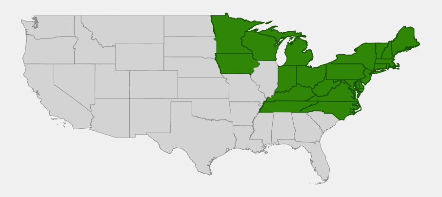 Native range map of northern bush honeysuckle (Diervilla lonicera) across the northeastern and north-central United States and Appalachians