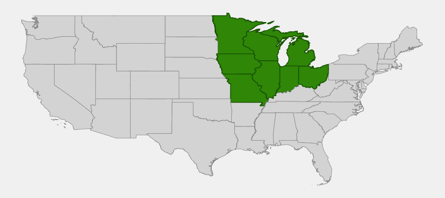 Native range map of Northern Pin Oak (Quercus ellipsoidalis) highlighting Minnesota, Wisconsin, Michigan, Iowa, Illinois, Indiana, Missouri and Ohio