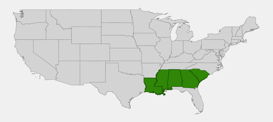 Native range map of Oglethorpe Oak (Quercus oglethorpensis) showing scattered, disjunct populations in Georgia, South Carolina, Alabama, Mississippi, and Louisiana