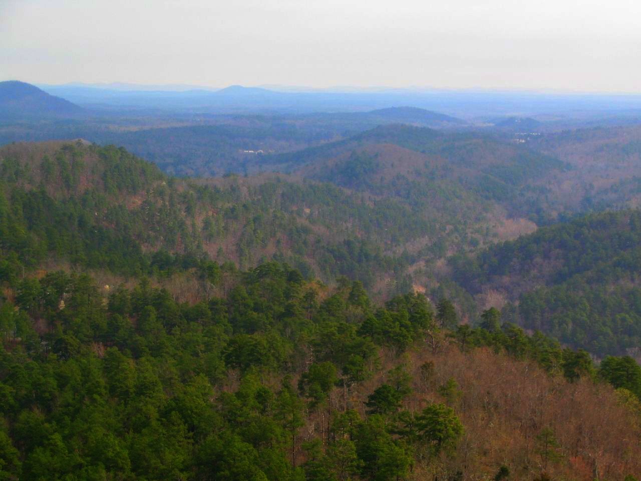 Ouachita Blazing Star (Liatris compacta) - PlantNative.org View across forested ridges of the Ouachita Mountains in Arkansas, the only place Ouachita blazing star grows in the wild