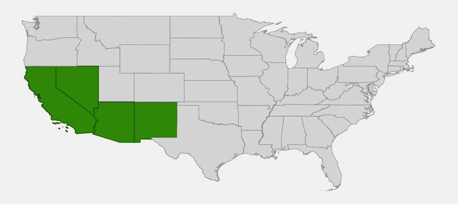 Native range map of Palmer oak (Quercus palmeri) highlighting California, Nevada, Arizona and New Mexico
