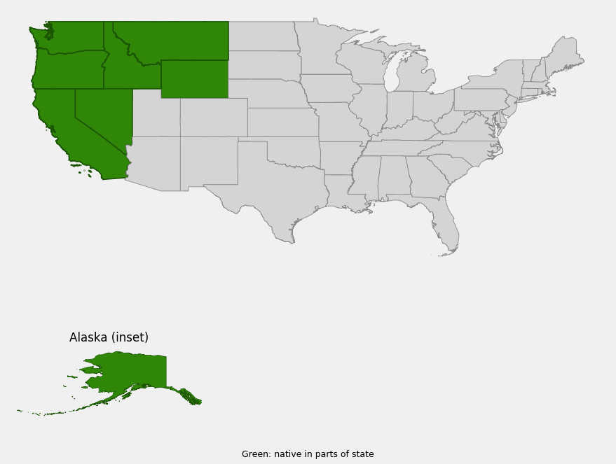Native range map of panicled bulrush (Scirpus microcarpus) showing distribution across Alaska, Washington, Oregon, California, Idaho, Montana, Wyoming, and Nevada