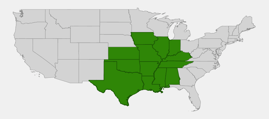 Native range map of Pecan (Carya illinoinensis) highlighting the south-central and southeastern United States