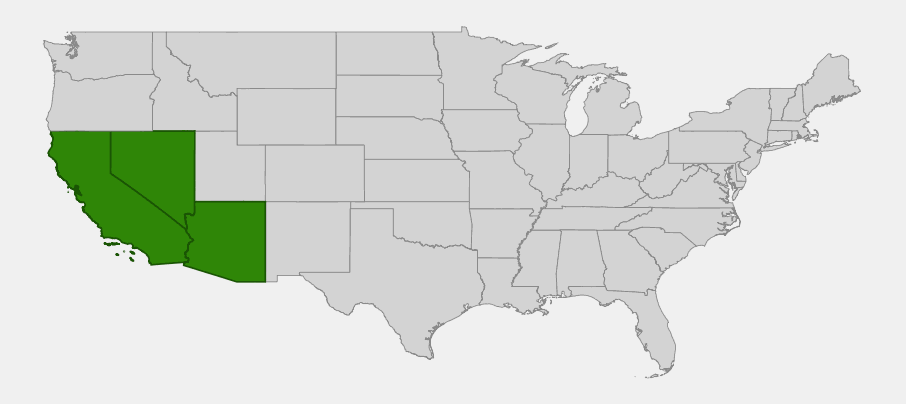 Native range map of Pencil Cholla (Cylindropuntia ramosissima) showing distribution across California, Nevada, and Arizona