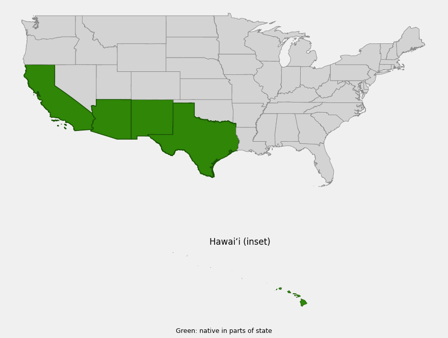 Native range map of Pili Grass (Heteropogon contortus) showing distribution in California, Arizona, New Mexico, Texas, and Hawaii
