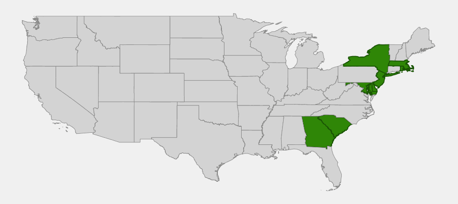 Native range map of Pink Tickseed (Coreopsis rosea) showing its disjunct coastal plain distribution in Massachusetts, Rhode Island, New York, New Jersey, Delaware, Maryland, South Carolina, and Georgia