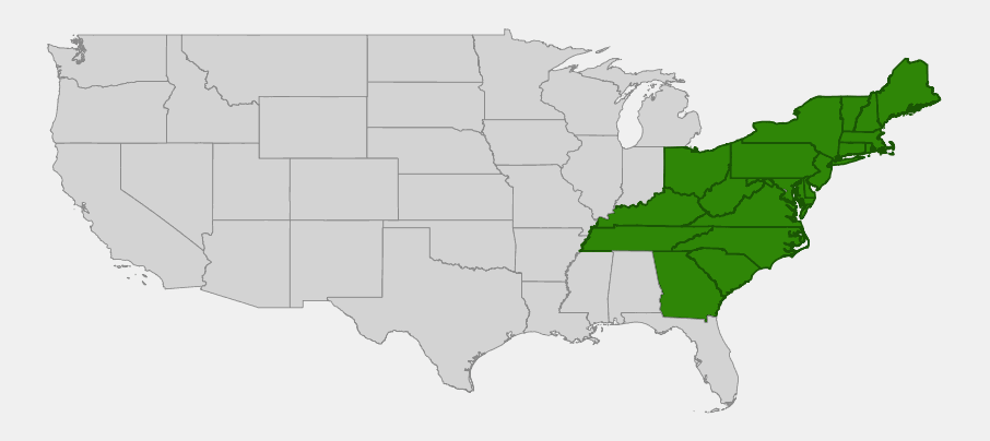 Native range map of Pitch Pine (Pinus rigida) showing distribution from Maine south through the Appalachian Mountains to Georgia