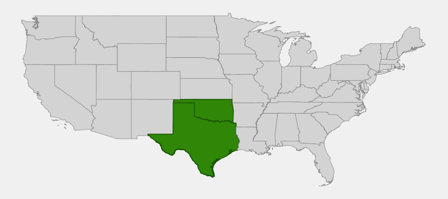 Native range map of Plateau Live Oak (Quercus fusiformis) showing distribution across Texas and southwestern Oklahoma