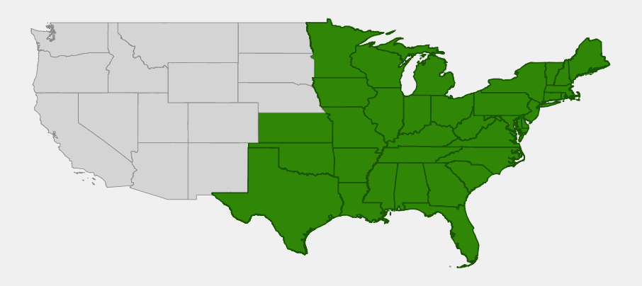 Native range map of pokeweed (Phytolacca americana) showing distribution across the eastern United States