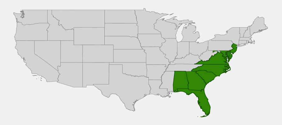 Native range map of pond pine (Pinus serotina) showing distribution from New Jersey to Florida and Alabama