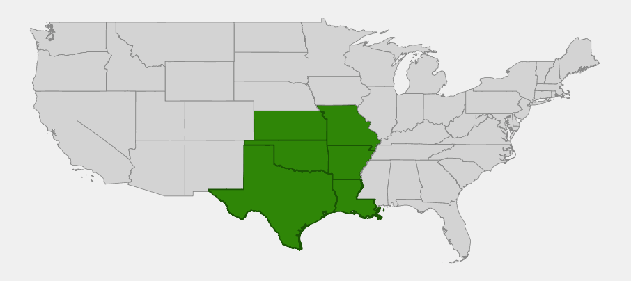 Native range map of purple leatherflower (Clematis pitcheri) across the south-central United States
