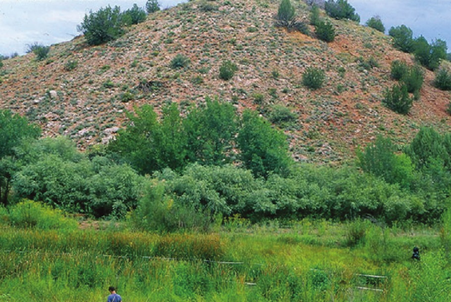 Red willow and Goodding's willow riparian plant community along the Upper Verde River, Arizona, with a rocky hillside behind