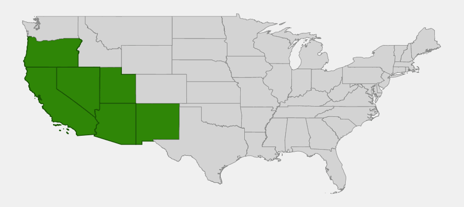 Native range map of red willow (Salix laevigata) showing distribution across California, Oregon, Nevada, Utah, Arizona, and New Mexico
