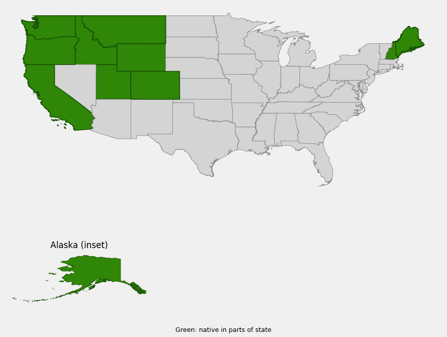 Native range map of Resin Birch (Betula glandulosa) highlighting Alaska, California, Colorado, Idaho, Maine, Montana, New Hampshire, Oregon, Utah, Washington and Wyoming