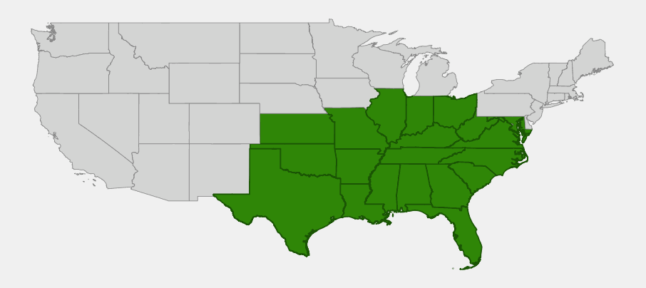 Native range map of resurrection fern (Pleopeltis michauxiana) across the Southeastern and lower Midwestern United States