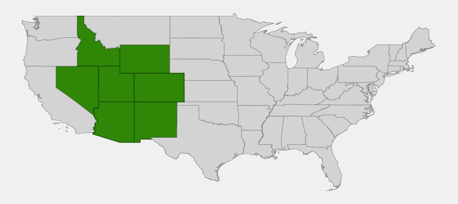 Native range map of River Hawthorn (Crataegus rivularis) showing distribution across Arizona, Colorado, Idaho, Nevada, New Mexico, Utah, and Wyoming