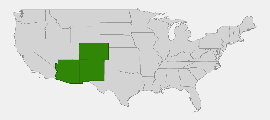 Native range map of Rocky Mountain Bristlecone Pine (Pinus aristata) showing distribution in Colorado, New Mexico, and Arizona