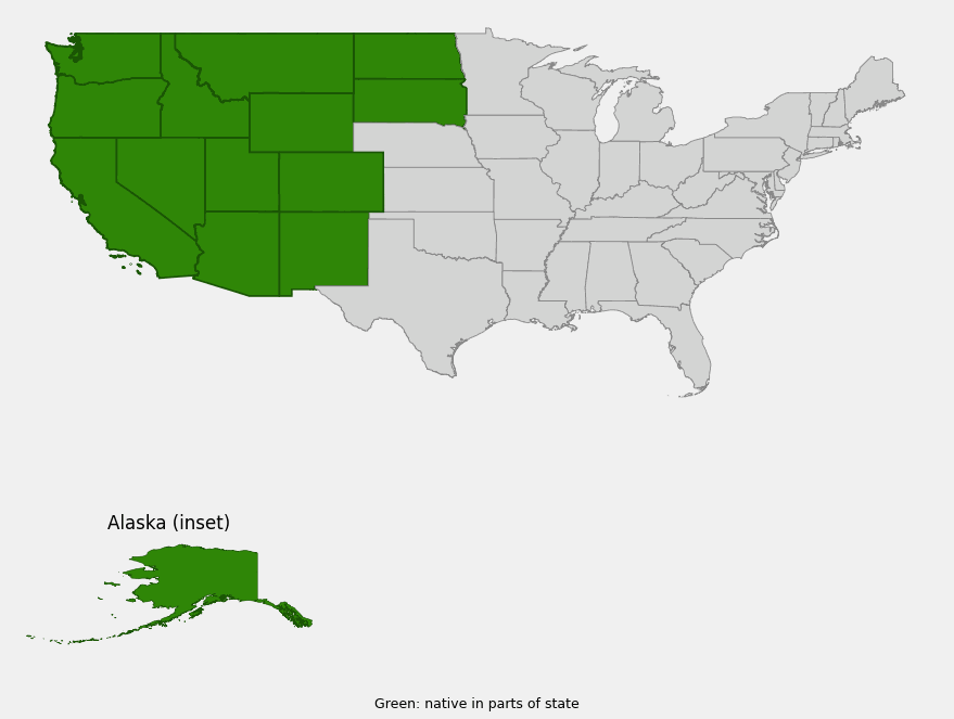 Native range map of Rocky Mountain woodsia (Woodsia scopulina) showing distribution across Alaska, the West Coast, the Rocky Mountain states, and the Dakotas