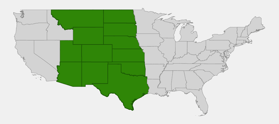 Native range map of sand bluestem (Andropogon hallii) highlighting the Great Plains and Intermountain West states