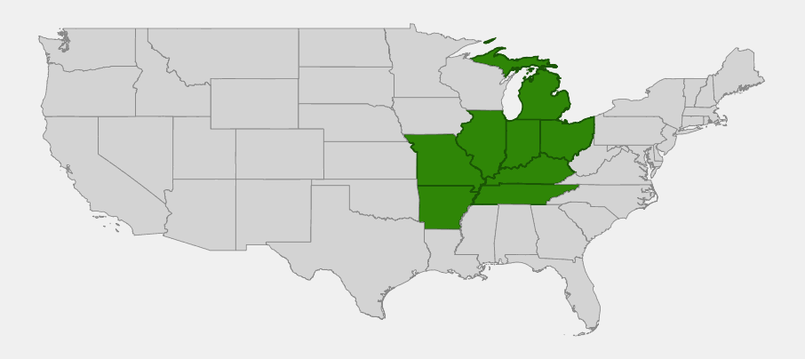 Native range map of Sand Phlox (Phlox bifida) highlighting Illinois, Indiana, Michigan, Ohio, Missouri, Arkansas, Kentucky and Tennessee