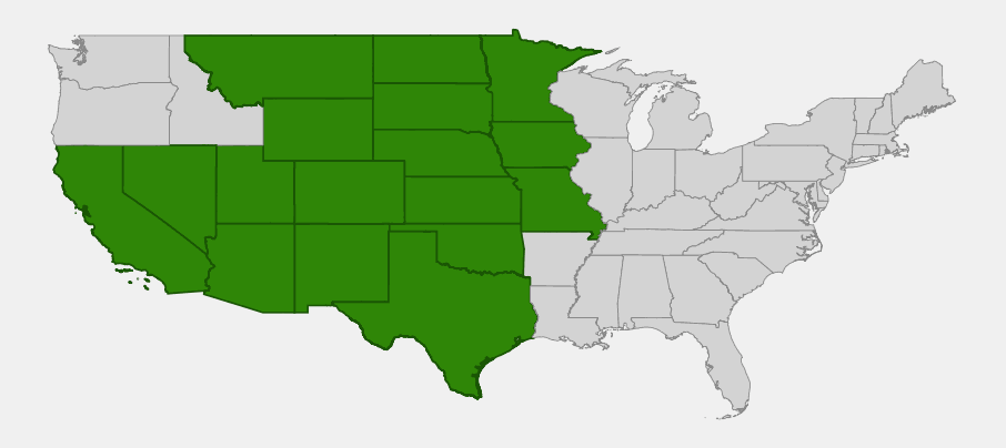 Native range map of scarlet beeblossom (Oenothera suffrutescens) across the Great Plains and interior Southwest