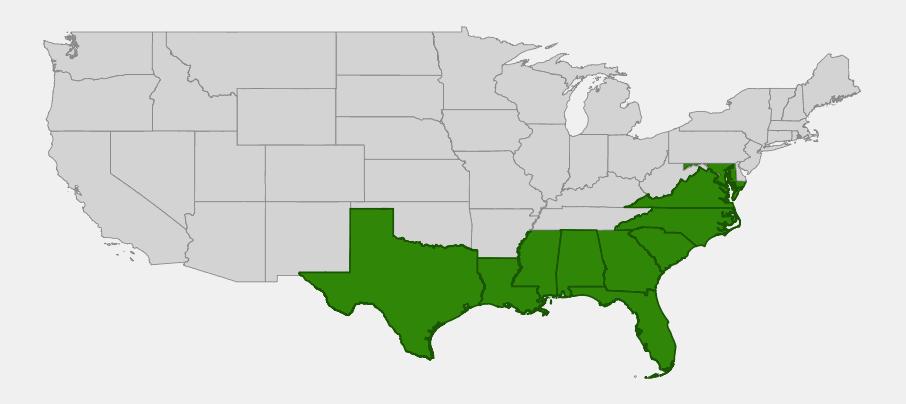 Native range map of Sea Oxeye Daisy (Borrichia frutescens) showing coastal distribution from Maryland to Texas